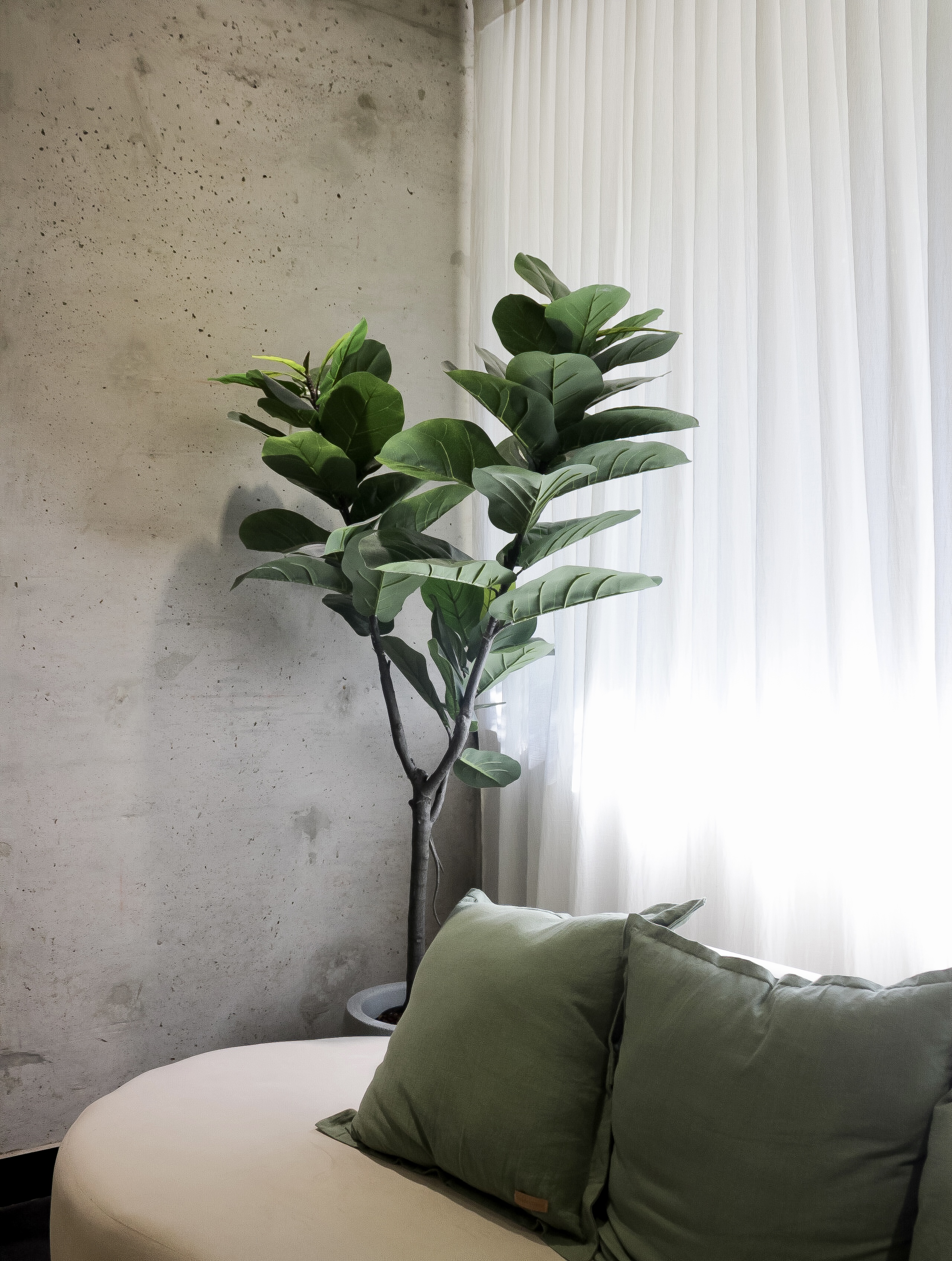Interior Dripia